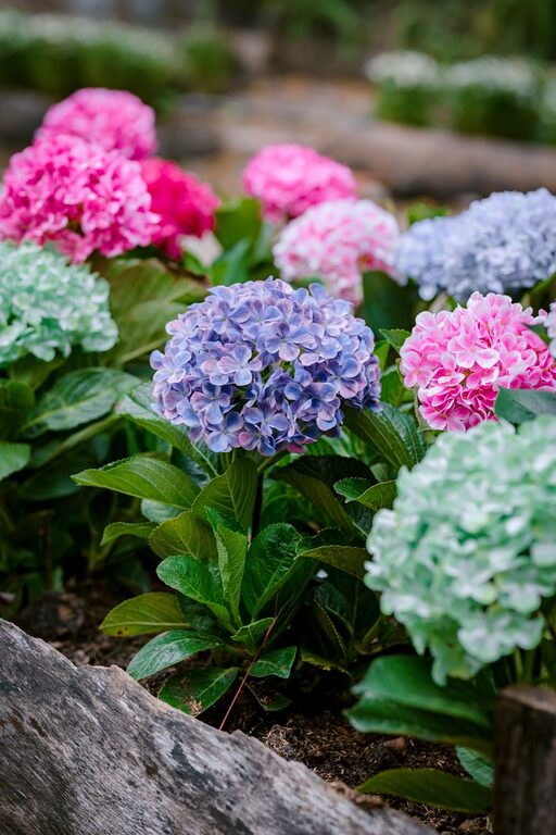 How to Rotate and Care for Bedding Properly for Longevity